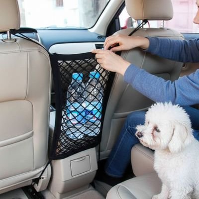 Filet chien voiture 