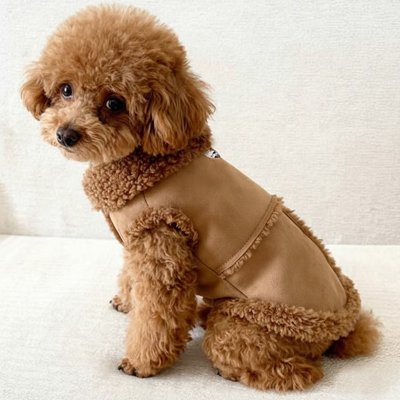 Manteau Chien 